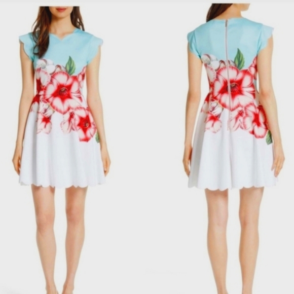 Ted Baker London Maevea Nectar mesh panel dress flower women's size 3 - Picture 1 of 15